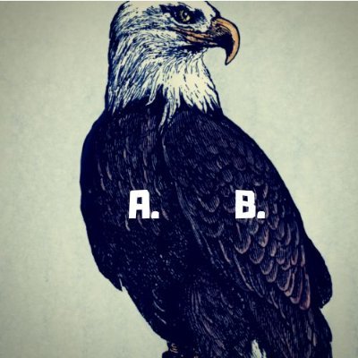BrigadeAbe's profile picture
