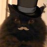 Sir Gatillin's profile picture