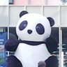 うさくら 的头像