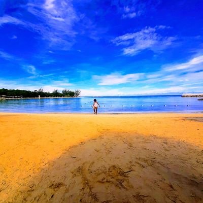 Junglis's profile picture