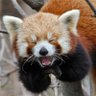 bwirp's profile picture
