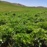 Фото профиля Devran