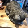 もか山 的头像