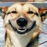 Quelo's profile picture