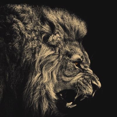 tboss_guy's profile picture