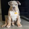 djm profil fotoğrafı
