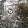 Dave's profile picture
