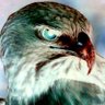 ماجد الرميح's profile picture
