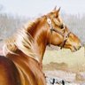 Фото профиля WahooLou