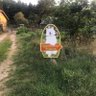 Irina Kolima profil fotoğrafı