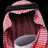 Profilbild von عابر سبيل