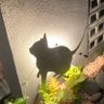 プロテイオス profil fotoğrafı