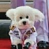 พลเอก.ฟูฟู's profile picture