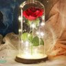 Profilbild von rosa-steph