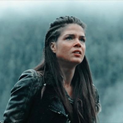 archivesthe100's profile picture