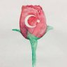 Mehmet Ak profil fotoğrafı