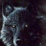 Михась Чеховский's profile picture
