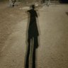 Batya Feldman's profile picture