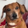 Ellen Kinney's profile picture