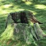 Фото профиля 中立中道でありたい保守
