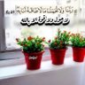 هاجر حكيم 的头像