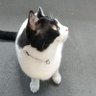 Фото профиля しんちゃん🐱の母