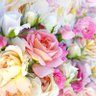 Фото профиля Hariomgm