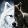 Diego's profile picture