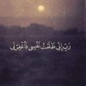 Mohamed Hamza's profile picture