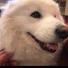 Profilbild von C L o U d B O Y E DONT RANK CUOMO OR ADAMS🇺🇦🇵🇸