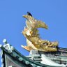 Фото профиля しぐま。