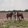 Pedro Vicente profil fotoğrafı