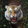 artsiful profil fotoğrafı