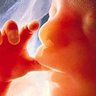 Profilbild von Wojciech #BabiesLivesMatter