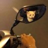 luka. profil fotoğrafı