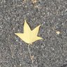 Profilbild von ReadThinkTweet