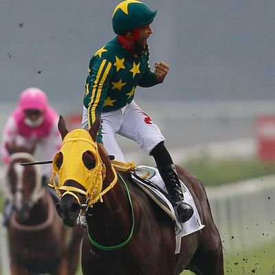 Kuzey Kafkasyalı's profile picture
