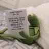 Kermit 的头像