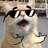 Profilbild von Jason Teno