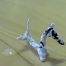 🍁悠 (yu) profil fotoğrafı