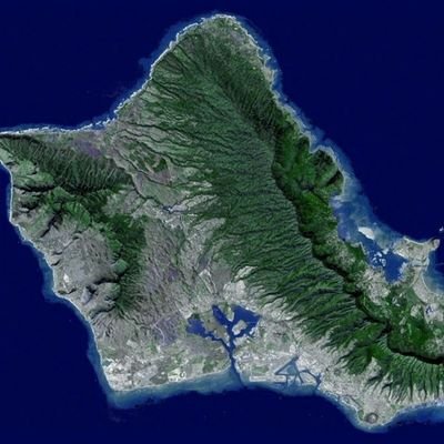 808_bate's profile picture