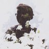 siksan's profile picture