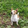 Profilbild von Renzo
