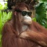 Mamaco's profile picture