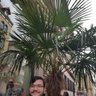 Miguel's profile picture