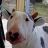 Profilbild von -mora2-