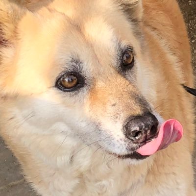 vloc_ol's profile picture