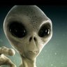 GREY 💎 profil fotoğrafı