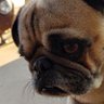 ITZNACHO profil fotoğrafı