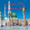 سيد حرفوش's profile picture
